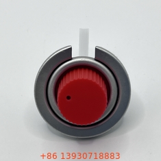 Type de soupape droite soupape de cuisinière à gaz portable en gros 1/4 pouce NPT fil de sortie