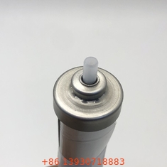 Sac aérosol à soupape Silver Standard pour un emballage alimentaire sûr et hygiénique
