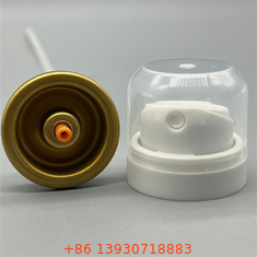 Valve de pulvérisation corporelle de déodorant personnalisable de marque pour les collections de marque privée avec buse interchangeable