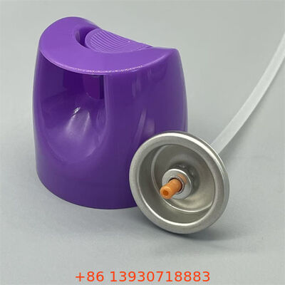 Valve d'insecticide à base d'eau en aérosol avec contrôle de précision et joint étanche pour les préparations sûres pour animaux de compagnie