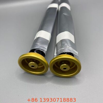 Sac aérosol femelle sur valve pour lotions et sprays sanitaires et soins personnels