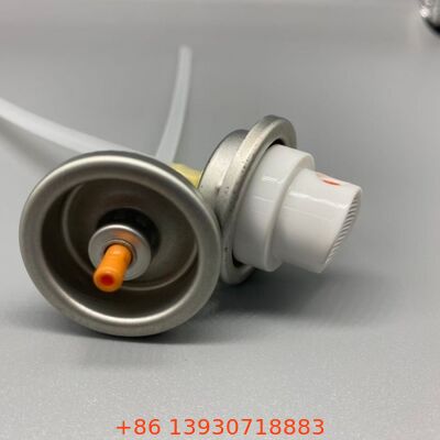 Valve de nettoyage en mousse à usage lourd avec bouchon de pinceau de nettoyage pour les soins des tapis et des sièges