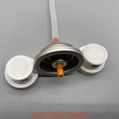 Vanne d'aérosol de spray lustrant pour cheveux de précision avec pulvérisation uniforme, acier inoxydable résistant à la corrosion et conception anti-colmatage