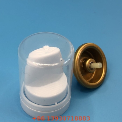 Une buse polyvalente pour la mousse capillaire - Application précise pour la liberté de coiffure - Durable et facile à utiliser