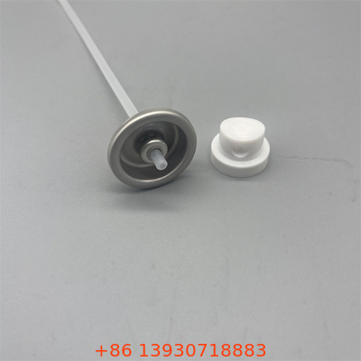 Régénérateur de la valve de pulvérisation d'eau pour les soins de la peau Restaurer la lueur juvénile et promouvoir une peau rayonnante