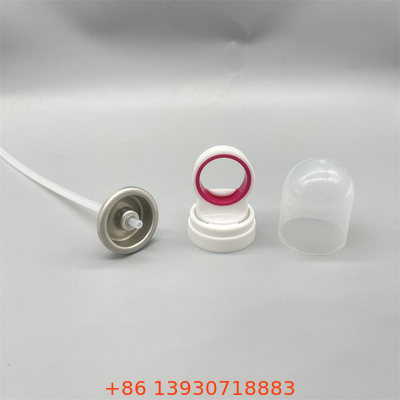 Valve de pulvérisation portable pour les soins de la peau