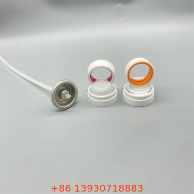 Valve de pulvérisation portable pour les soins de la peau
