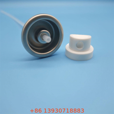 Vanne de pulvérisation d'eau faciale professionnelle haute capacité pour spas et usage quotidien, avec conception étanche et ergonomique