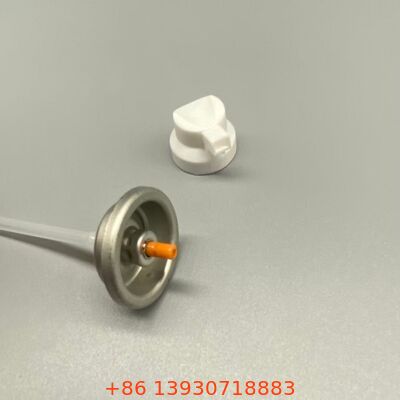 Valve de pulvérisation d'aérosol de shampooing sec conçue pour la distribution de particules fines