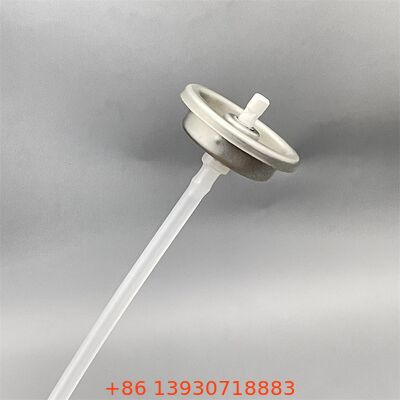 Valve de nettoyage pour carburateur polyvalent non toxique résistant à la corrosion pour les applications industrielles et automobiles