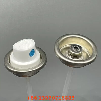 Ensemble de valve de pulvérisation de peinture et d'actionneur femelle à correspondance de couleur enduite