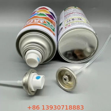 Ensemble de valve de pulvérisation de peinture et d'actionneur femelle à correspondance de couleur enduite