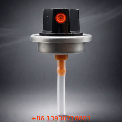 Valve de peinture aérosol mâle à étanchéité améliorée avec finition coordonnée aux couleurs