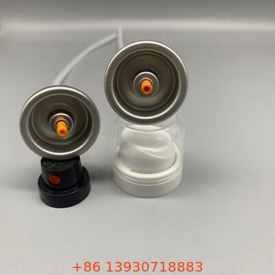 Valve aérosol de shampooing sec pour une couverture invisible et des cheveux frais entre les lavages
