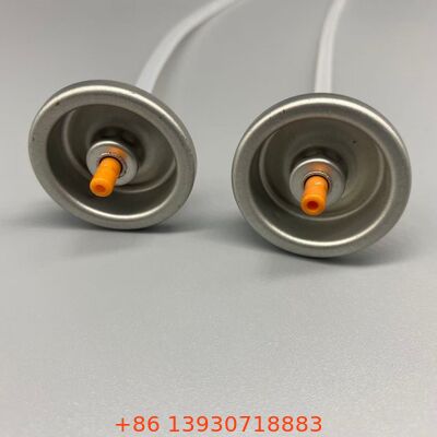 Valve de shampooing sec en aérosol pour les applications de levage des racines et de finition mate