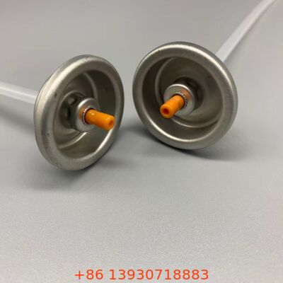 Valve de shampooing sec en aérosol pour les applications de levage des racines et de finition mate
