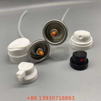 Valve de shampooing sec en aérosol pour les applications de levage des racines et de finition mate