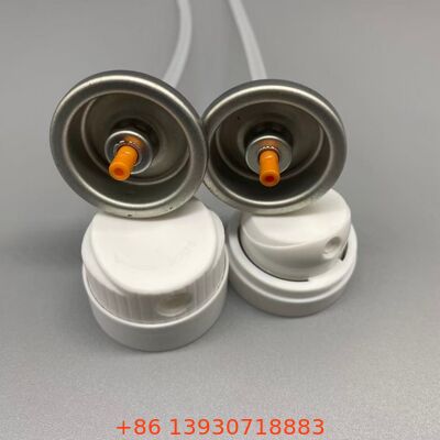 Valve aérosol de shampooing sec pour une restauration instantanée du volume et une absorption de l'huile