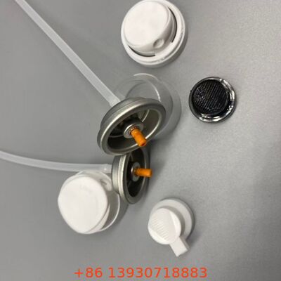 Valve aérosol de shampooing sec pour une restauration instantanée du volume et une absorption de l'huile