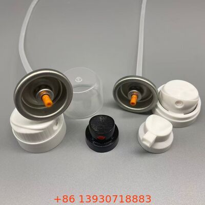 Valve aérosol de shampooing sec pour une restauration instantanée du volume et une absorption de l'huile