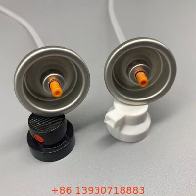 Valve aérosol de shampooing sec pour une restauration instantanée du volume et une absorption de l'huile