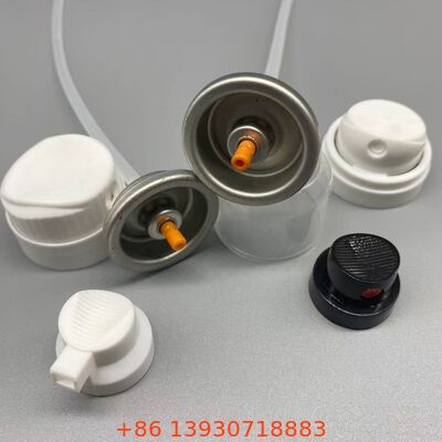 Valve aérosol de shampooing sec pour une couverture invisible et des cheveux frais entre les lavages