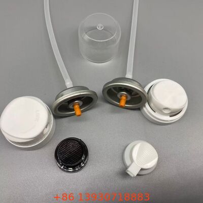 Valve aérosol de shampooing sec pour une couverture invisible et des cheveux frais entre les lavages