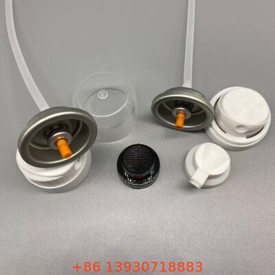 Valve aérosol de shampooing sec pour une couverture invisible et des cheveux frais entre les lavages